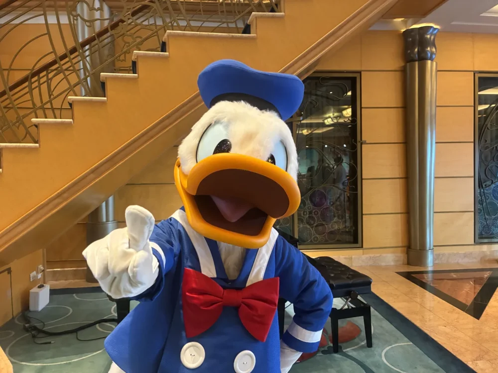 船内で会えるドナルドダック｜ディズニー・ワンダー乗船時