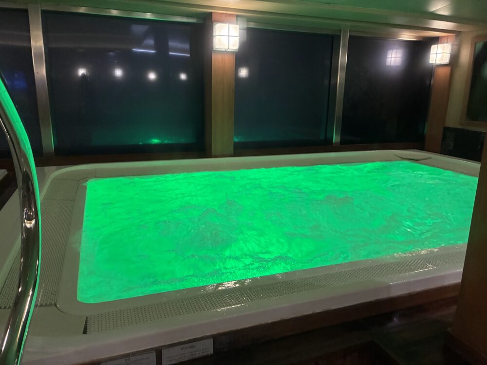 ダイヤモンド・プリンセス泉の湯の浴室